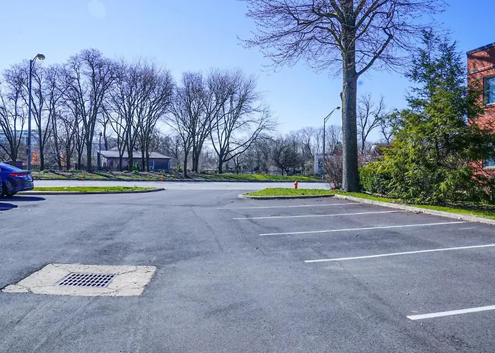 Park Perfect For Work And Getaways Apartment